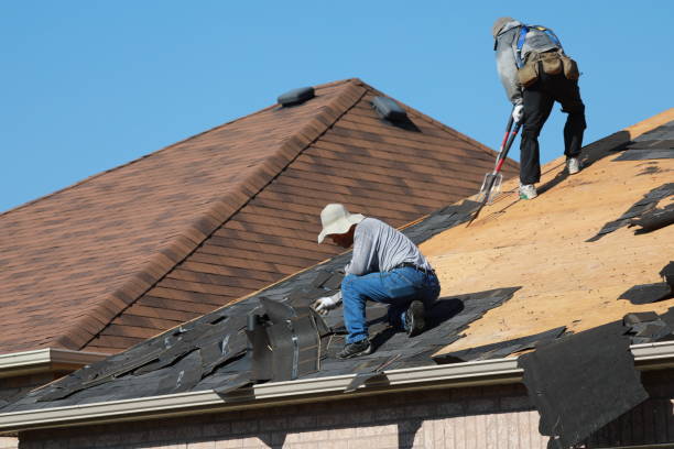 Best Asphalt Shingle Roofing  in Randolph Af, TX